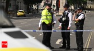 Stabbing in London: Dog walker dead, father and son injured; Afghan asylum seeker held