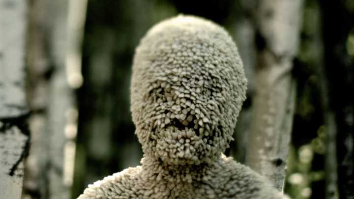Why Syfy Canceled Channel Zero