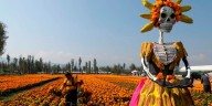 ¿Buscas flores para tu ofrenda? Estos rinconcitos florales de Xochimilco y CDMX tienen una gran variedad