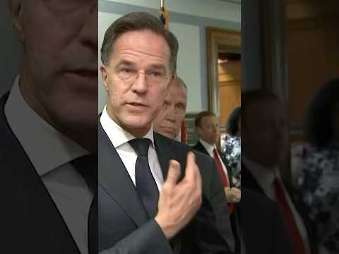 Trump 'Only One' Who Can End Russia's War: NATO's Rutte