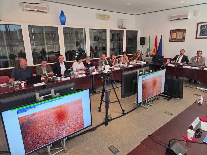 La Junta muestra su oposición al deslinde de las marismas de Doñana y presentará recurso