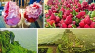 Why this Twin-Destination in Maharashtra is a Perfect Short Getaway for Nature and Adventure Lovers?