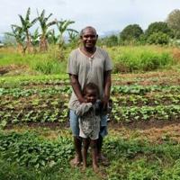 'Backyard fireworks' of WWII bombs still litter Solomon Islands