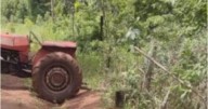 Una productora agropecuaria murió luego de ser arrollada por un tractor
