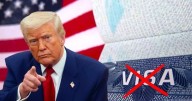 Ni visa ni pasaporte: Estados Unidos permitirá ingresar legalmente a todos los turistas que puedan mostrar esta credencial a las autoridades