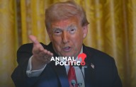Trump anuncia nueva reunión con Putin en Hungría; "veremos si podemos poner fin a la guerra", dice