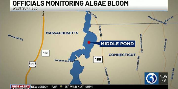Public health advisory for part of Congamond Lake will remain in place
