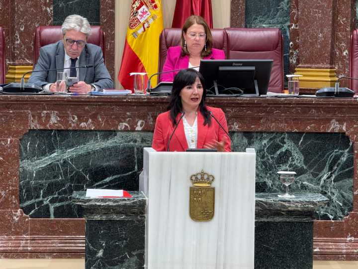 El PSOE exigirá a la Asamblea Regional el blindaje del derecho al aborto