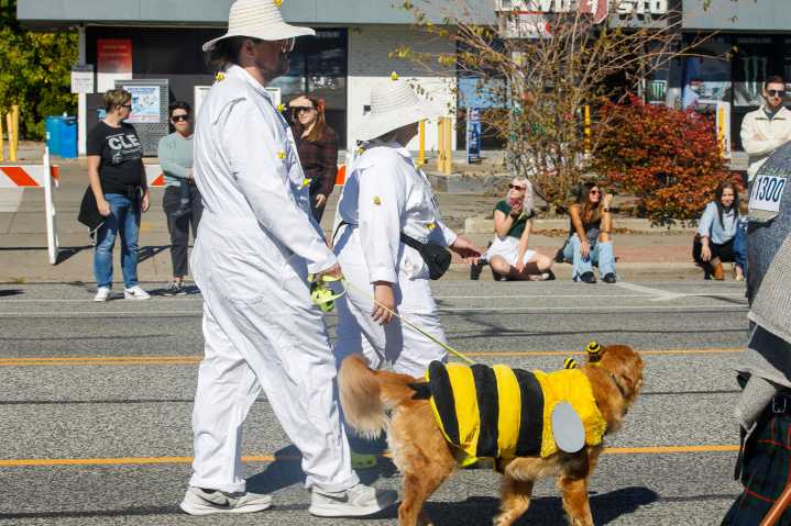 Photos From the 2025 Spooky Pooch Parade