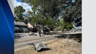 Postal worker killed in crash in north Harris County