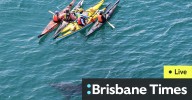 WA news as it happened: Great white shark circles kayakers at Hillarys; Perth man sentenced over rape of 16-year-old girl; ambulance ramping worsens; Waterbirds rescued after being ‘deliberately hooke