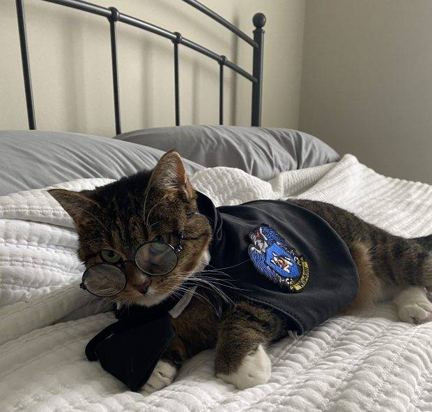 Here are readers’ pets (and wildlife) we featured in our October newsletter