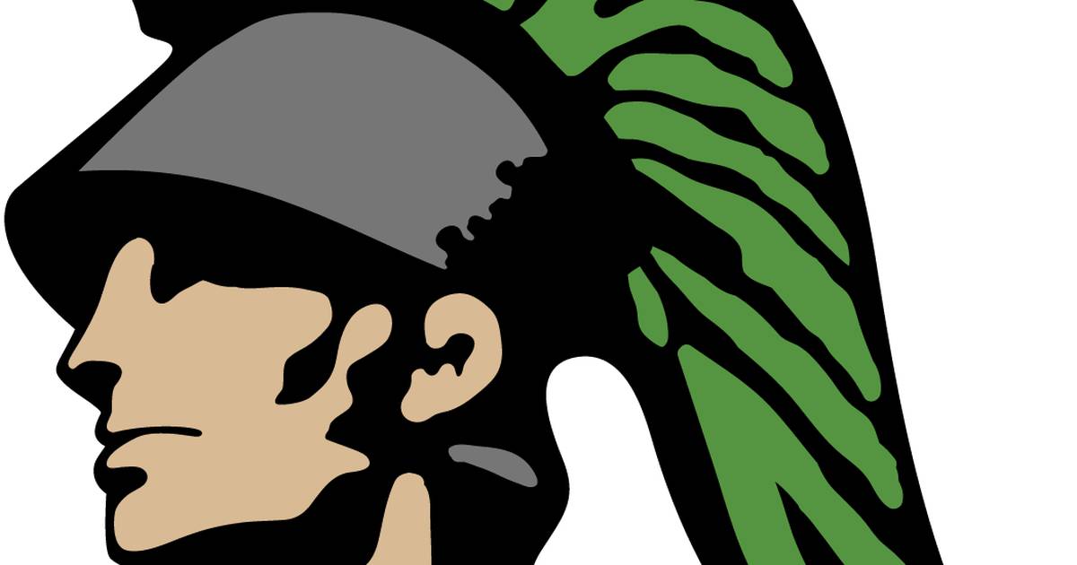 Dwight advances to sectional semifinals in volleyball: The Herald