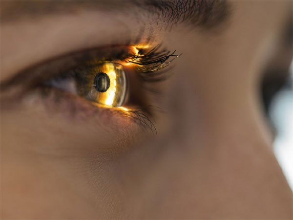 Breakthrough retinal implant restores vision in AMD patients, study shows
