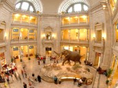 Cierre federal frena el arte y la cultura