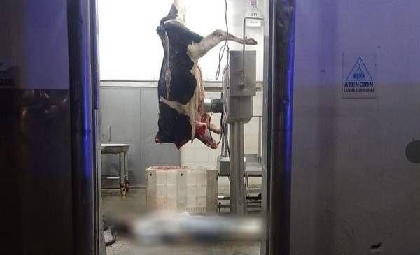 Tragedia en el Frigorífico de Gorina: hallan muerto a un operario en el sector de desposte