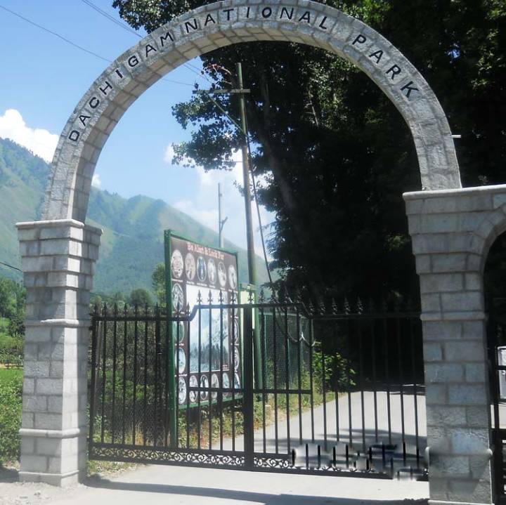 Kashmir: GCC Raises Alarm Over Threat to Brein-Nishat Conservation Reserve, Dachigam National Park