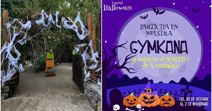 Este es uno de los planes más chulos para ir con niños este Halloween en Málaga: las actividades que propone Bioparc Fuengirola