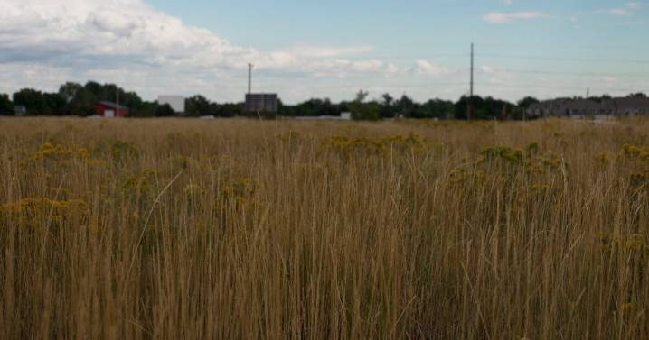 The future of the former Hughes Stadium site is now in the hands of Fort Collins voters
