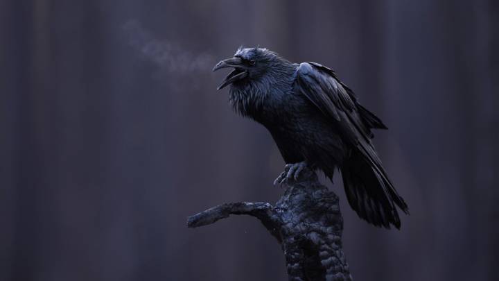 The week’s best photos