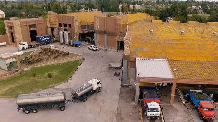 Fallo judicial condenó a la firma Jugos Australes a pagar más de U$S12 millones a la española Iberte