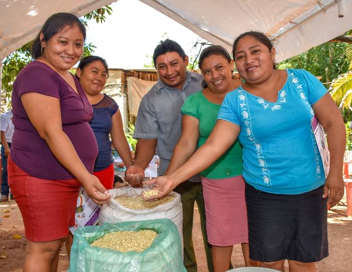 México implementará un sistema para regular y organizar la comercialización del maíz