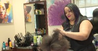 Salon owner launches project to provide free grooming services to school children
