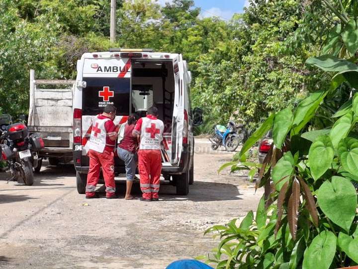 Alacrán pica a mujer y la manda al hospital en Tizimín