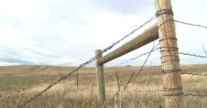 Broncos pass on Lone Tree for stadium. What's next for the city's last major commercial parcel?
