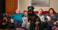 Gogglebox Malone family issue emotional tribute after co