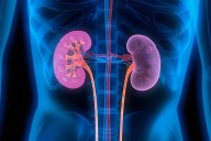 Night shift youth face elevated kidney stone risk: Study shows