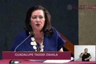 Los OPLES son imprescindibles, afirma Taddei
