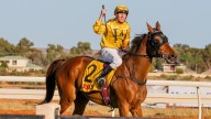 Starry Heights to show his grip on Kalgoorlie Cup has not been loosened by Sentimental Hero