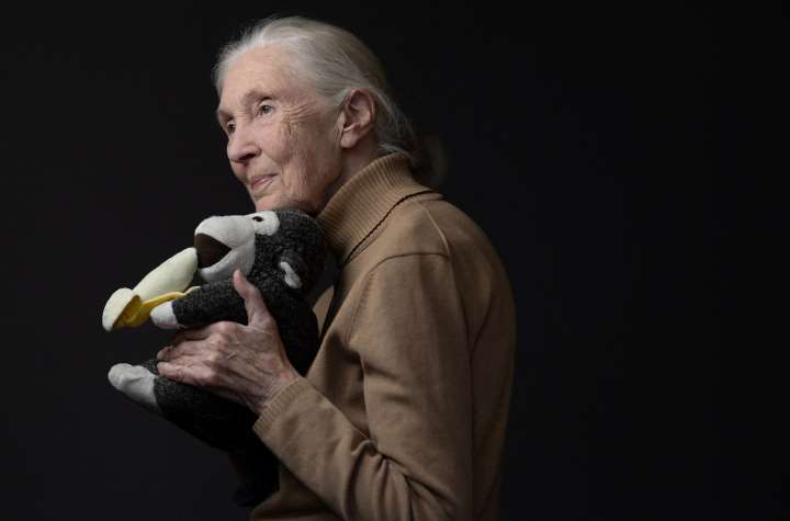 Listen to Jane Goodall’s final 