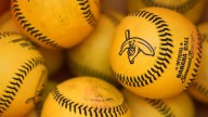 Banana Ball in Tacoma: How to buy tickets