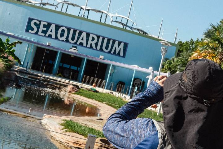 Maltrato y bancarrota. Cerró en Miami el icónico oceanario donde se filmó una famosa serie de televisión de los ‘60