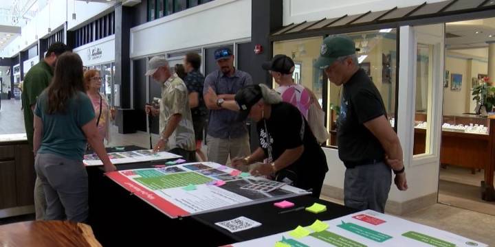 County unveils draft designs for Lahaina’s commercial district