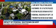 Mark Freedlander talks flood insurance
