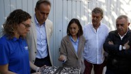 Alerta Climàtica a Ponent: Rècord Històric de 19 Pedregades i Pedres de 3 Centímetres A causa de l'Augment de la Temperatura