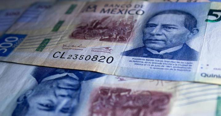 Senadores de Movimiento Ciudadano proponen fijar el salario mínimo en México en el valor de dos canastas básicas, lo que implicaría un aumento de 17% para 2026 y garantizaría ingresos suficientes para