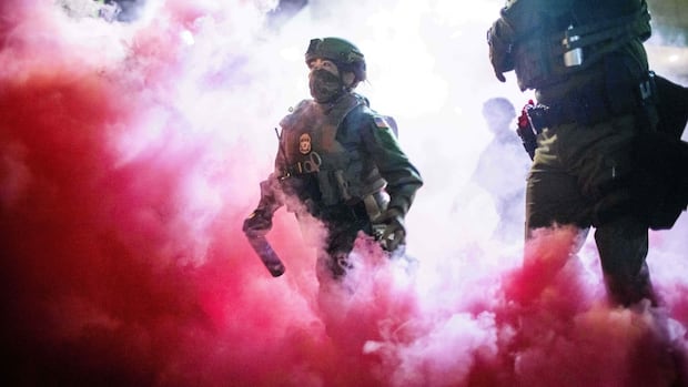 Illinois sues to block National Guard deployment in Chicago after Oregon court victory