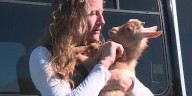 Juneau County Rescue takes in 250 neglected animals, all in need of vet care