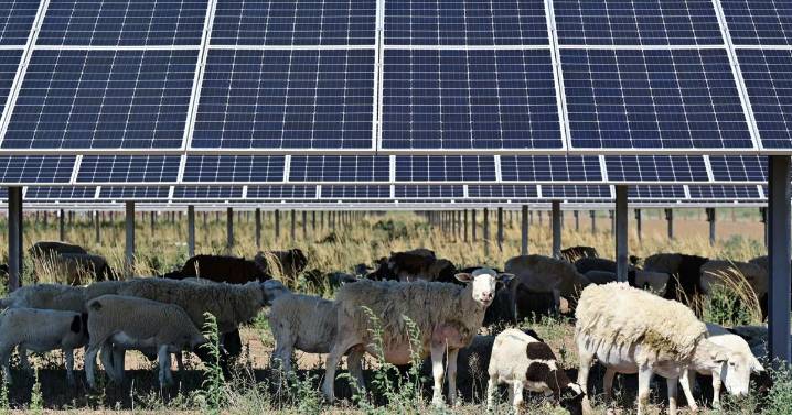 Silverstein: Bridging the red-blue divide on climate