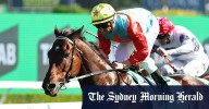See you next October, champ: Ka Ying Rising bids Sydney farewell