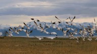 Private Beach Meadow in Gustavus protected for public access