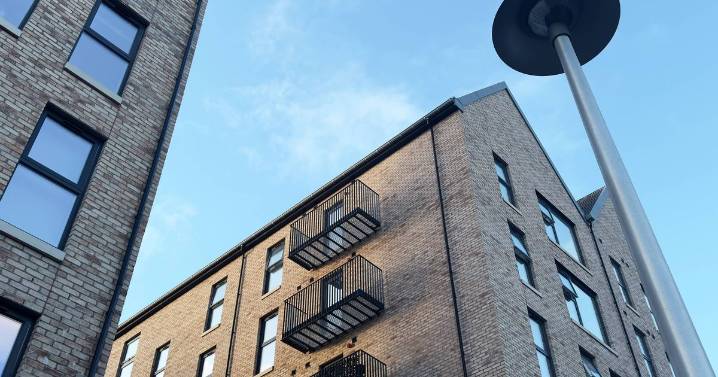 'I teamed up with my neighbour for revenge over next door's disgusting habit'
