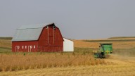 Farmers caught in Trump's trade war wait for bailout. But many call it a temporary fix
