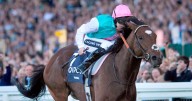 'She's the niece of Frankel and could be very special'