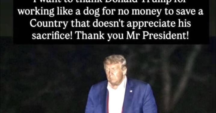 Trump, 79, Whines About ‘Working Like a Dog for No Money’