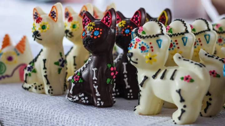 Calaveritas y altares para mascotas, otra forma de recordar a compañeros de vida